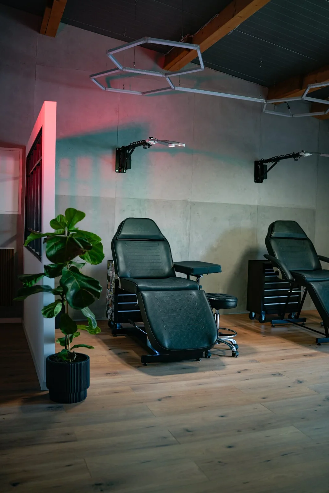 Studioeinblick mit Tattoo-Liegen und einer Pflanze