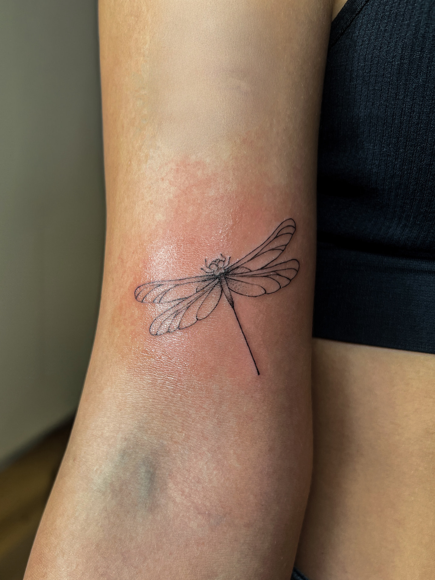 Libelle